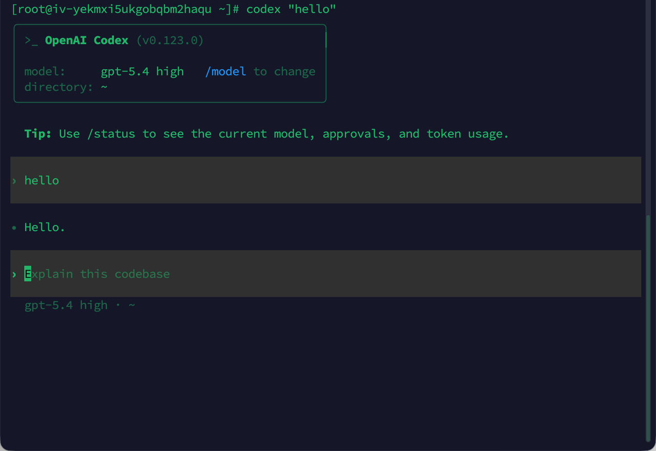 Codex CLI test run showing successful hello response